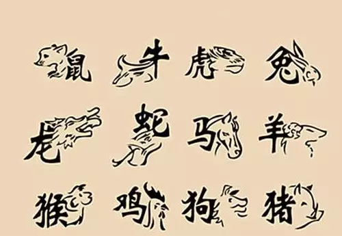 3、虎和兔合不合適婚姻:虎和兔能結合嗎