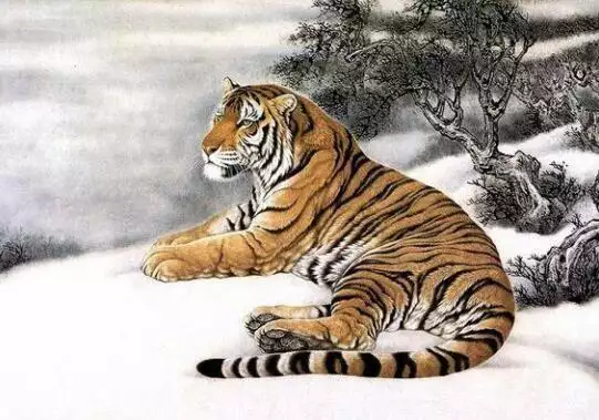 屬相老虎早上7點的時刻：屬虎的是什麼時刻？