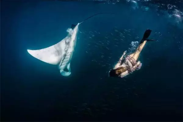 女人夢到特別多的大魚：夢見泥鰍和很兇的魚,魚有牙