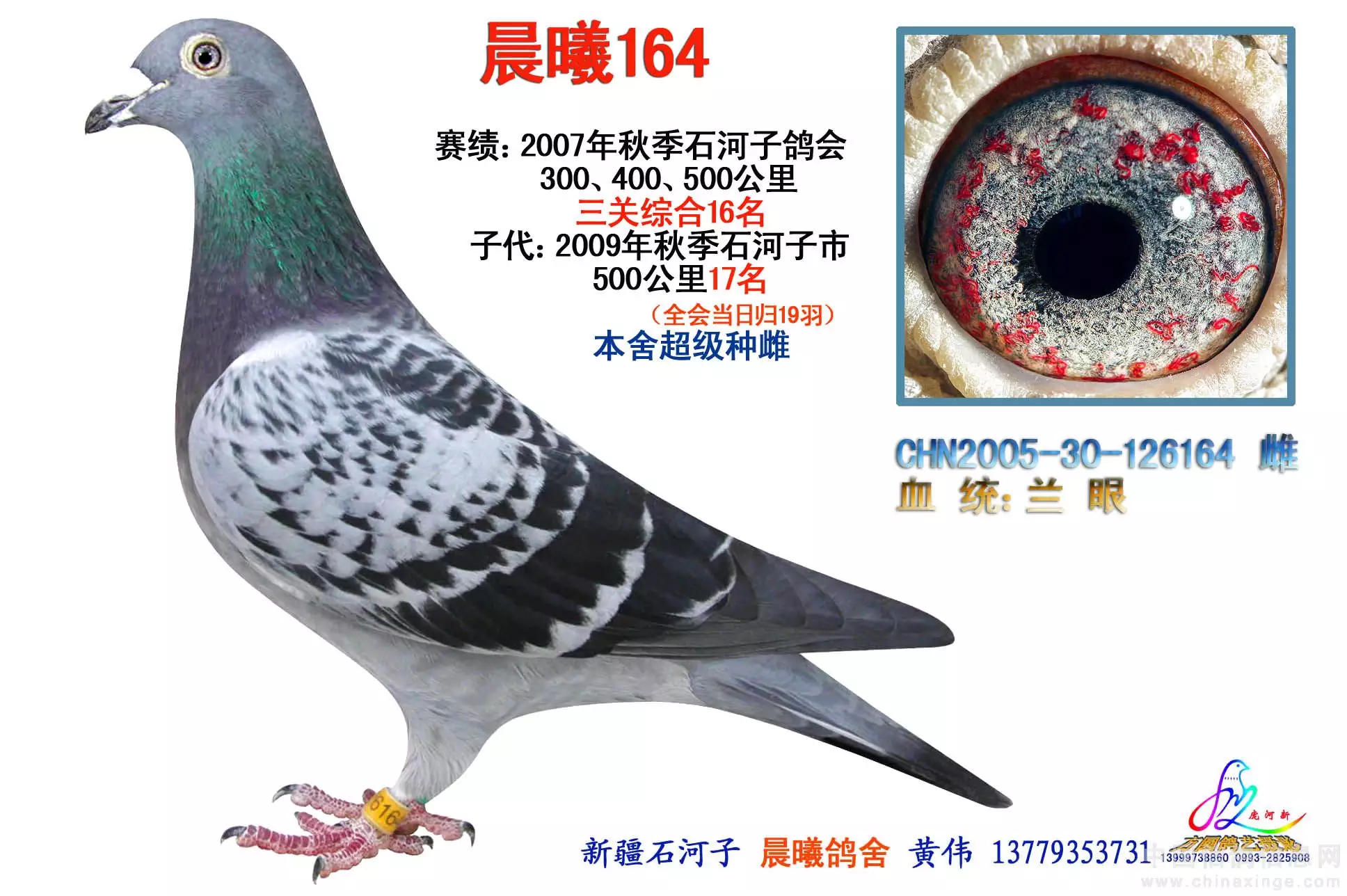 3、48星區配對:求助48星區：射手摩羯座VS天蠍座一的配對資料