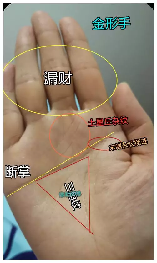 3、怎麼看自己的事業運:八字看事業八字看一下我的事業運