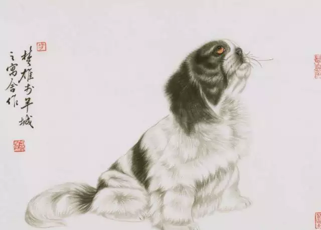 年屬狗一生三大劫難：82年屬狗的是什麼命