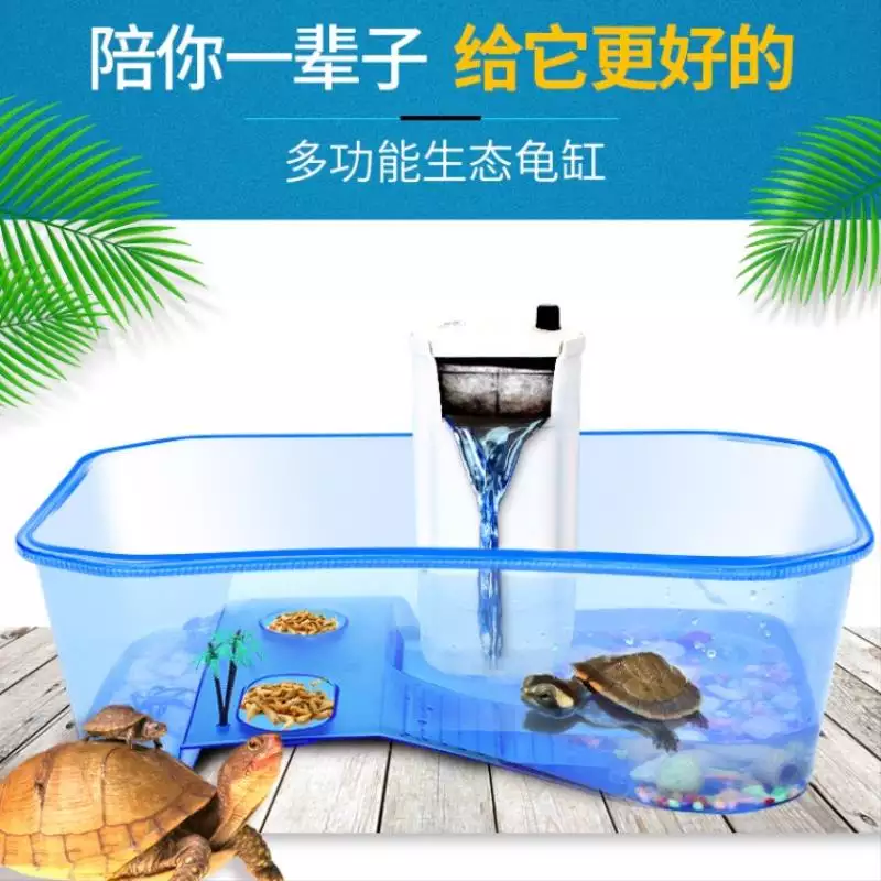 養魚養單數烏龜算不算：以前養烏龜的魚缸還可以養魚嗎