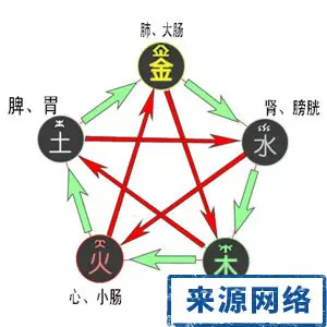 豬屬相屬金木水火土區分：屬豬的人五行屬什麼?