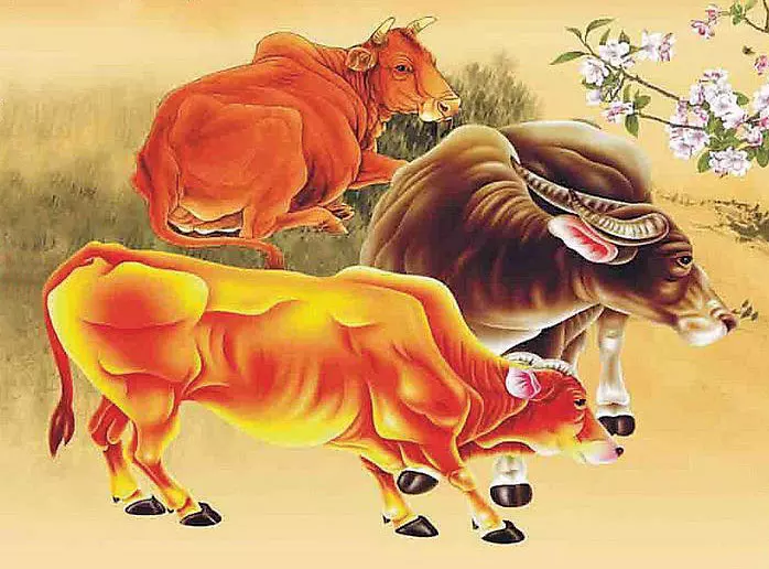 6、十二生肖牛年運勢:十二生肖牛二o一七年運勢