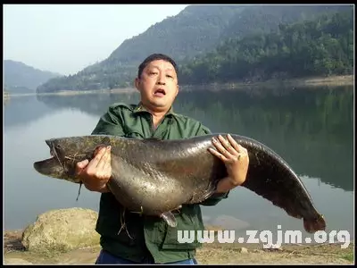 女人夢到特別多的大魚：夢見魚長着很鋒利的牙齒,咬媽媽?