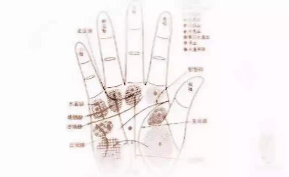 1、怎麼看手相圖解女姻緣:看手相，怎麼看婚姻情況。