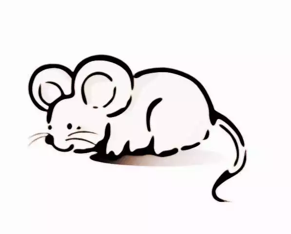 2、年屬鼠哪年添丁:屬鼠的年出生的吉祥数字是什麼