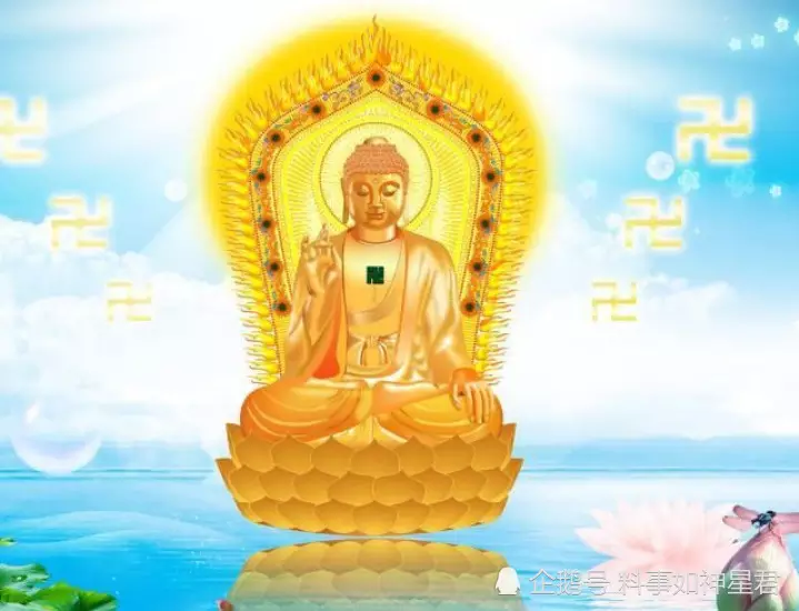 永遠不低頭的三大屬相：斬不低頭的十二生肖動物是什麼