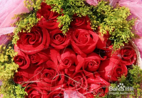 女性送女性朋友什麼花好：送女性朋友什麼花比較好？