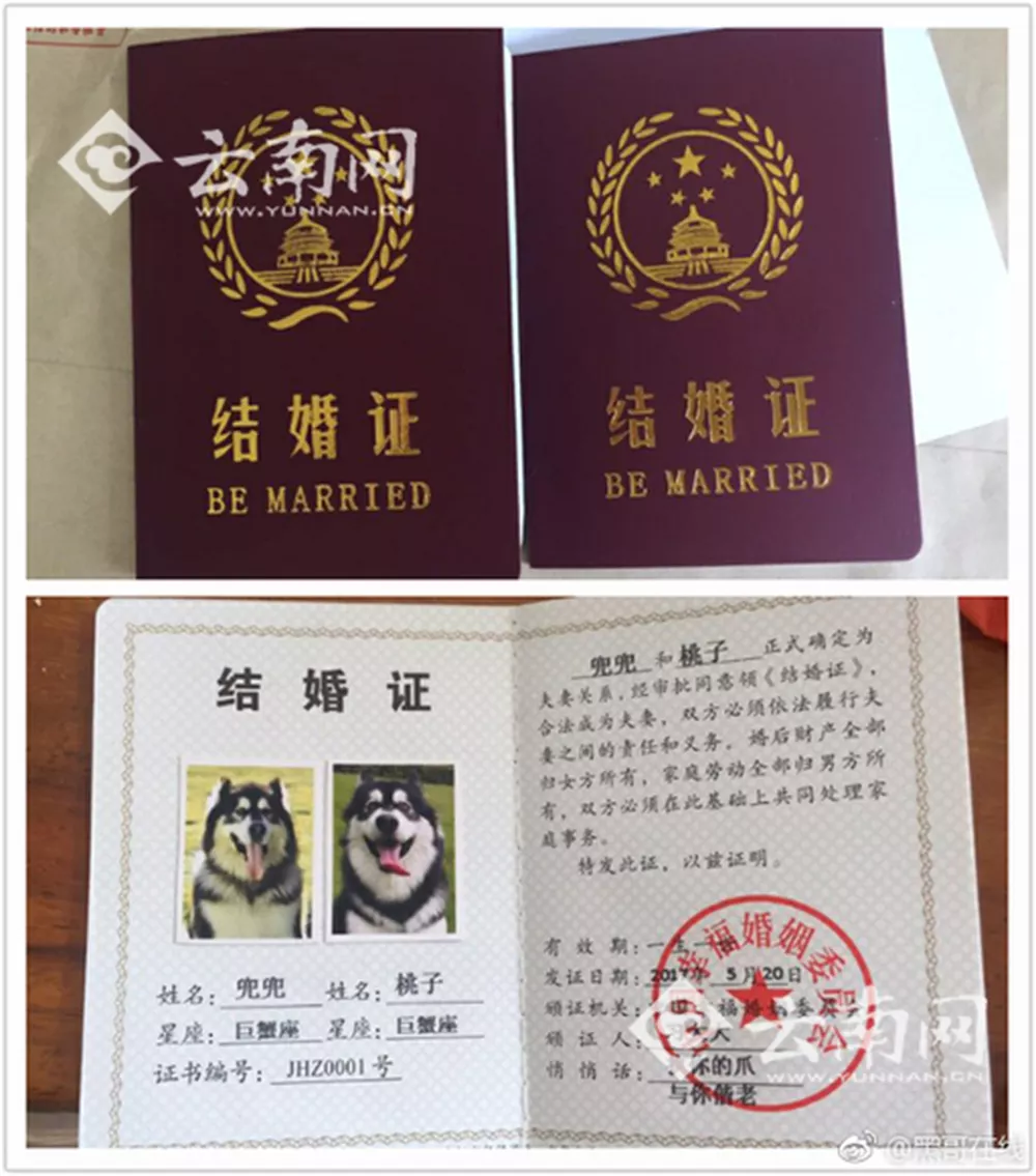 5、輸入姓名查結婚證軟件:什麼app能查結婚證