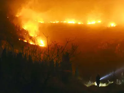 年狗山頭火什麼意思：木狗山頭火命是什麼意思