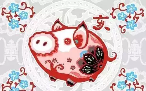 2、屬龍人命中註定的另一半豬:屬龍的和屬豬的配嗎