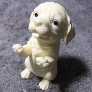 屬相狗寶寶幾月生最好：生肖屬狗幾月出生好？