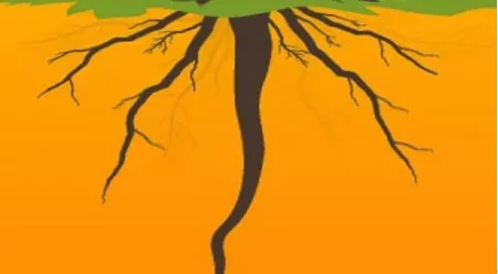 2、有人用婚姻數算過嗎?婚姻樹預測的准嗎?我前兩個月算的好像和現在的不一樣啊