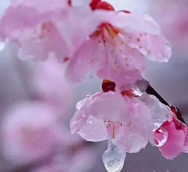 2、測今年的桃花運:測測我的桃花運