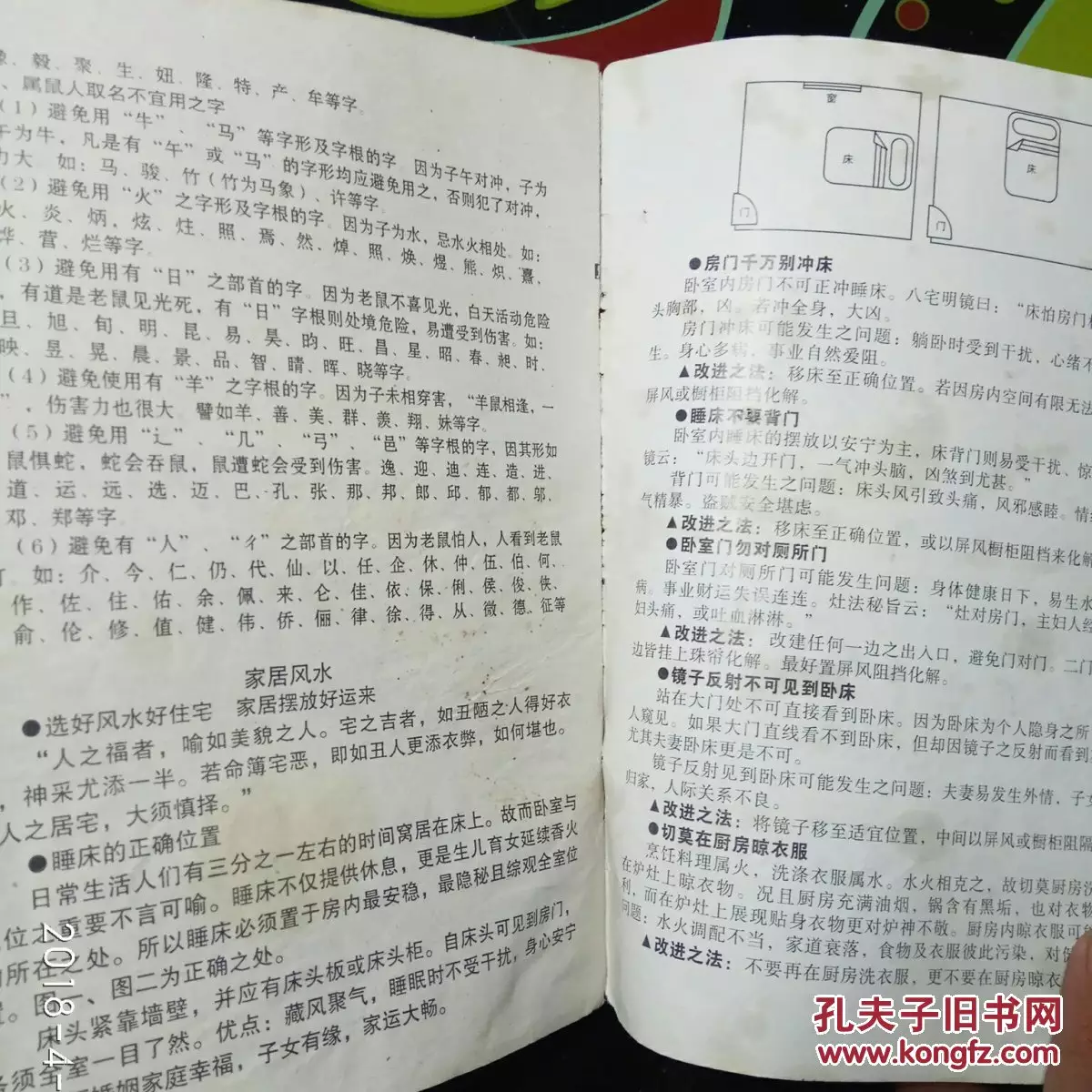3、十二生肖人生預測:乾坤生肖是指哪幾隻