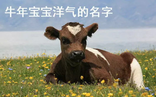 牛年女寶寶起名大全集姓李：李姓寶寶牛年出生起什麼名字好呢?