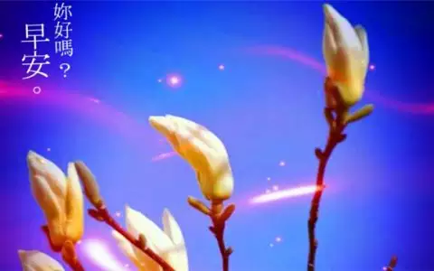 5、我男友73年屬牛，我77年屬蛇，隸屬相星座都合適，可是五行不合，他木命，我土命，到底信託哪個啊？