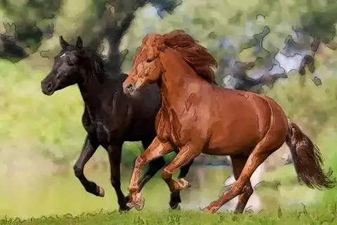 1、年二月屬馬的命運:屬馬的年二月初八看的運氣