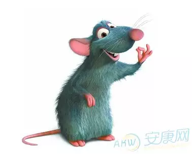 鼠年命運歲：屬老鼠的命運怎麼樣