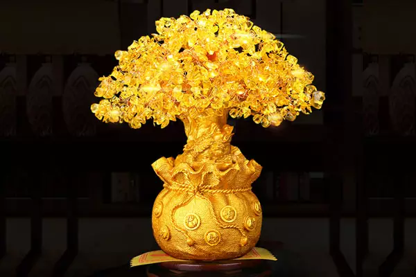 寓意招財的名字姓陳：蟾蜍的寓意和象徵是什麼？