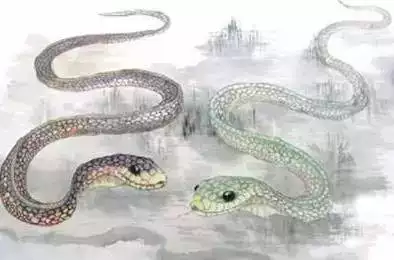 4、屬蛇的人出生年份分別有什麼:77年屬蛇的和什麼屬相最配