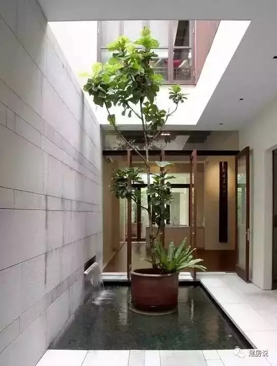 1、天井裡適合種什麼植物:有什麼開花植物可以在很少有太陽的天井裡種的