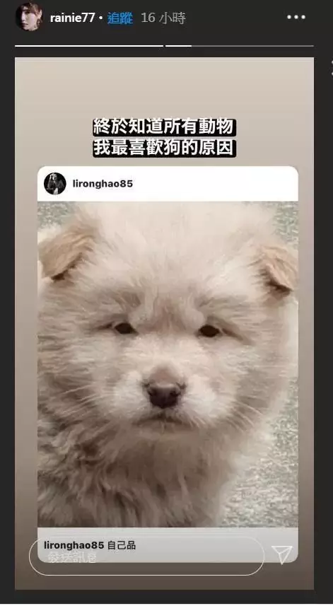 小孩子預言懷孕準不準：讓小孩預言懷男孩還是女孩准嗎