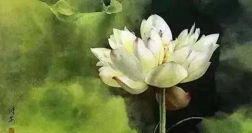 4、女人即將轉好運氣的徵兆:一個人即將迎來好運，是會提前有徵兆的，到底是哪些徵兆呢？
