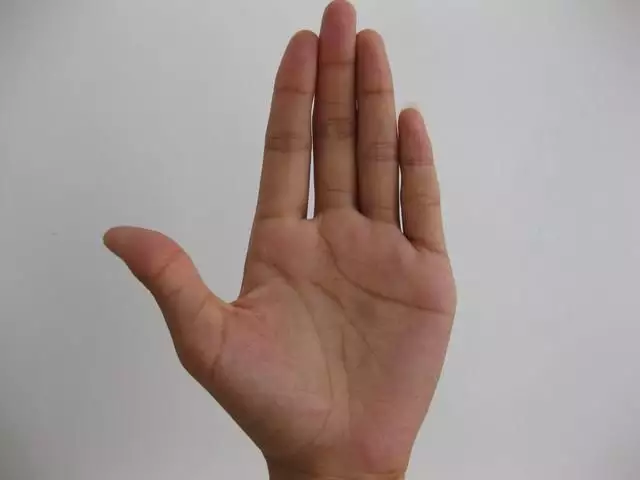 4、手上的姻緣線是哪一根:手掌感情線是哪條