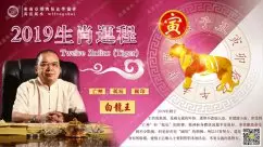 1、算命年運勢屬虎:算命屬虎在年財運如何