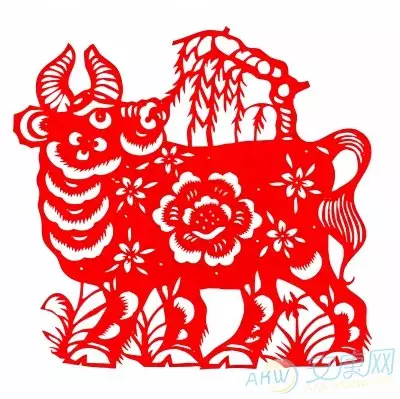 牛屬相最忌諱的是什麼：屬牛和什麼生肖相衝？