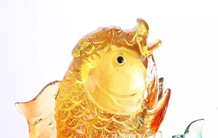 10、招財魚圖片壁紙:的招財魚有幾種,有圖片嗎