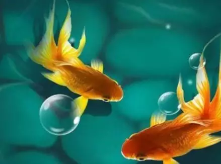 1、什麼屬相的婚姻可以白頭偕老:能夠白頭偕老的夫妻，一般都是哪幾種婚姻呢？