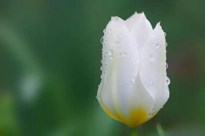 有26名阿姨在院子里跳健美操，她們至少有（）人的屬相相同 六年級 數學題