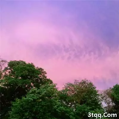 1、男人順利又招財的圖片:如何看男人是否招財的