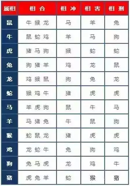 5、92猴男84鼠女婚配怎麼樣:84年女屬鼠與92年男屬猴命理有什麼好與壞