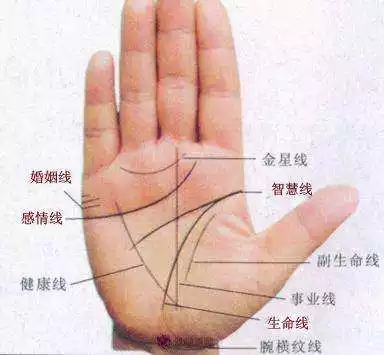 3、免費測自己有幾段婚姻:免費測有幾次婚姻？