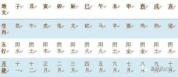 4、怎樣查農曆每日屬相:如何具體的查看自己的生肖屬相？