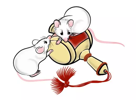 2、屬鼠年婚姻運勢如何:年屬鼠感情婚姻運