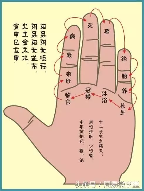 4、四柱八字如何看女命:四柱八字命盤怎麼看？