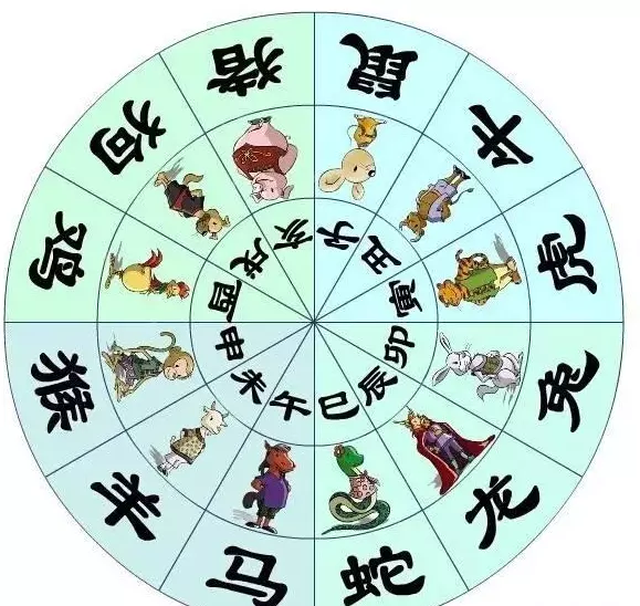 2、十二生肖順序表及年齡:十二生肖的具體排列及年齡的排法