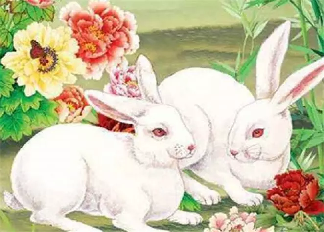 5、屬羊的屬相婚配表:屬羊的屬相婚配表