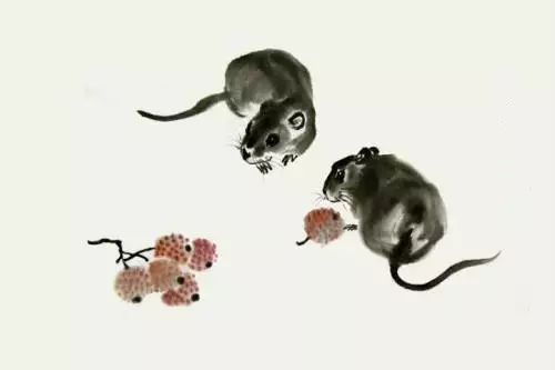 96年是什麼屬什麼生肖：96年生肖屬什麼的，