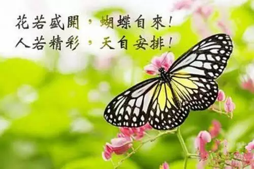 5、怎樣能讓仇人生重病:怎樣報復讎人？