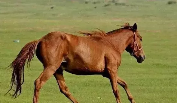 測試我今生有幾個孩子：測我今生有幾個孩子？