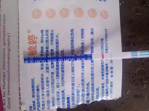 4月經期沒來懷孕是什麼屬相