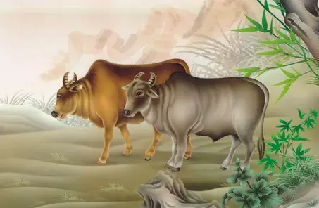 虎跟雞屬相能在一起嗎：屬虎和屬雞相剋能在一起嗎？