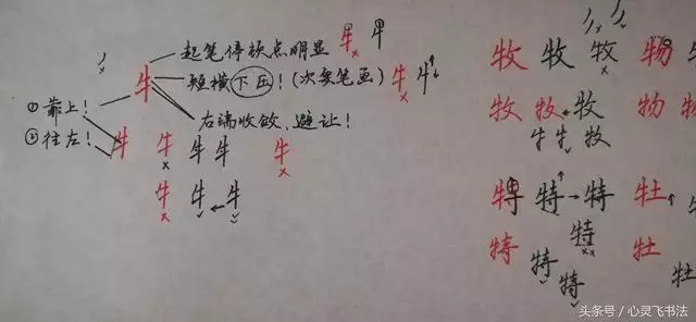 牛字旁寓意好的字開店：帶牛字旁的有些什麼字